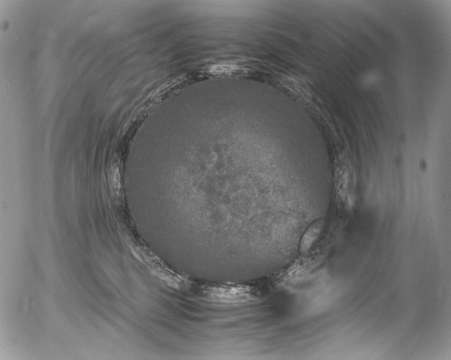 X0000054370375200507291053