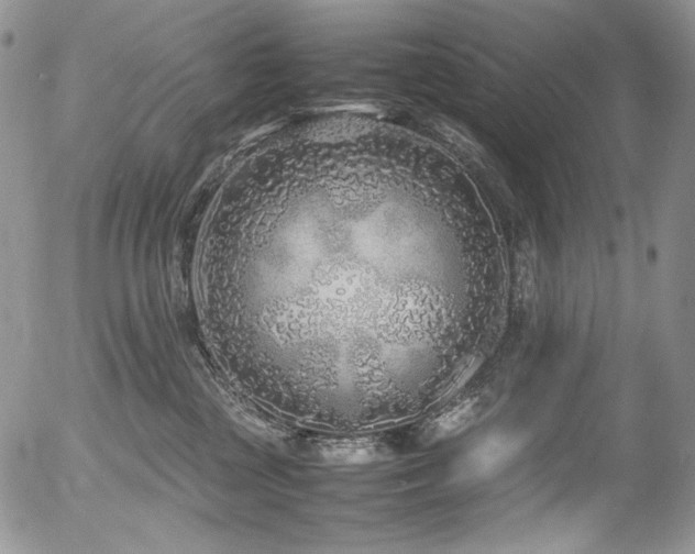 X0000054370377200507291053