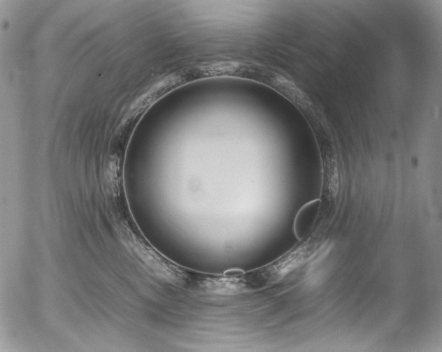 X0000054370378200507291053