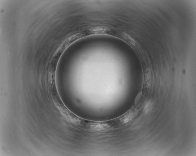 X0000054370379200507291053