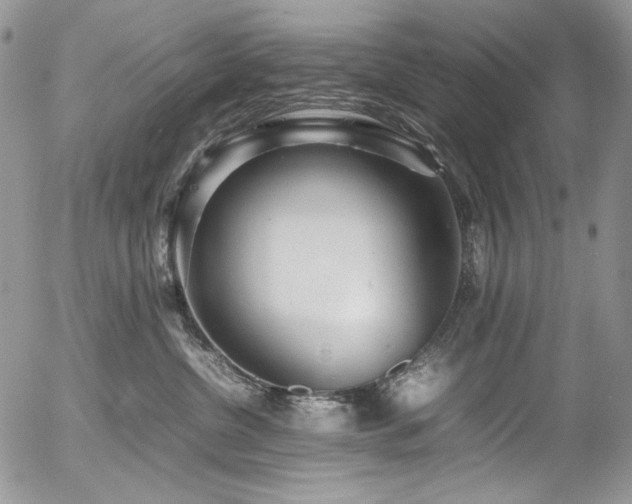 X0000054370380200507291053