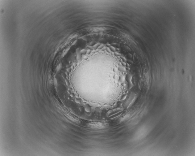 X0000054370381200507291053