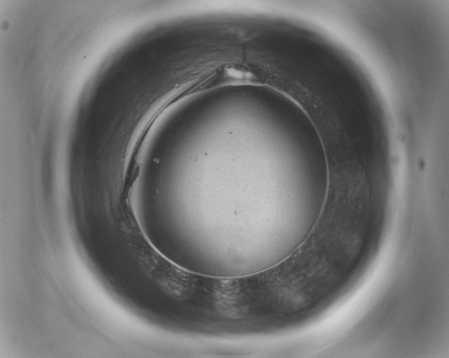 X0000054370382200507291053