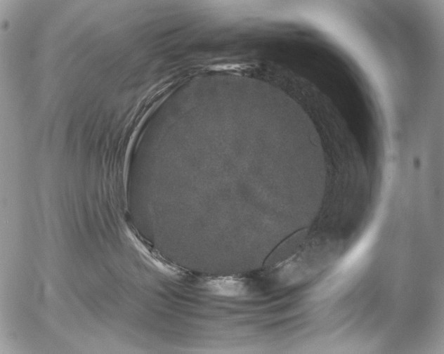 X0000054370383200507291053