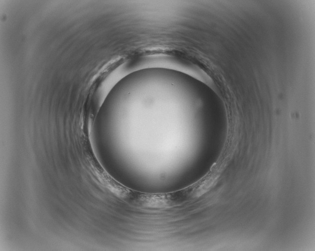 X0000054370384200507291053