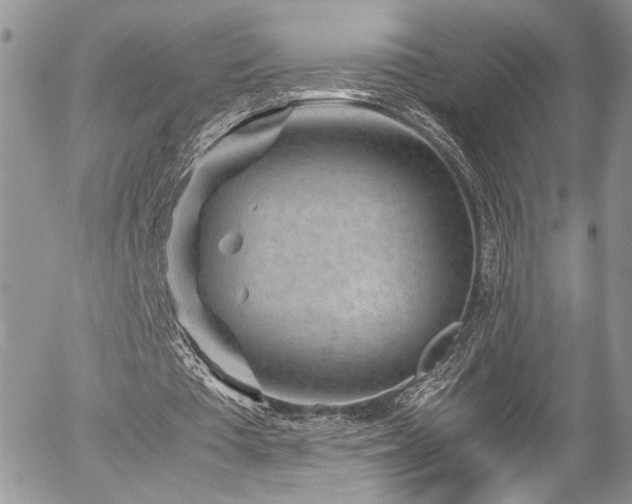 X0000054370385200507291052