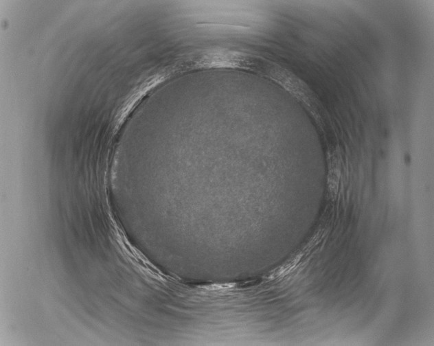 X0000054370386200507291052