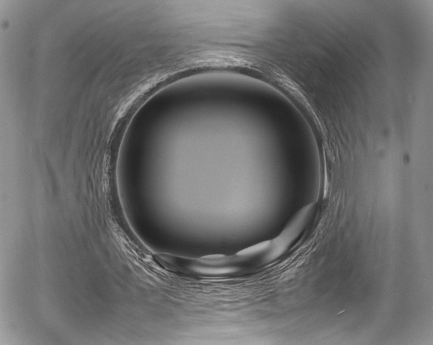 X0000054370387200507291052