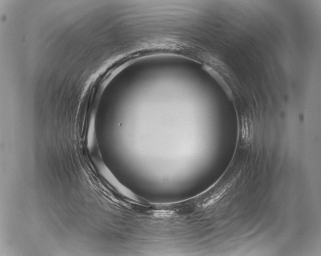 X0000054370388200507291052