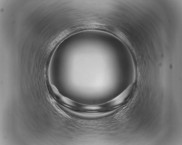 X0000054370389200507291052