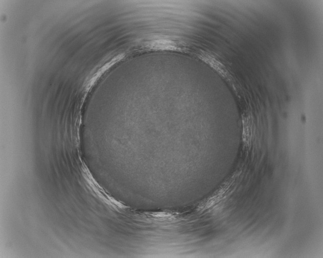 X0000054370390200507291052