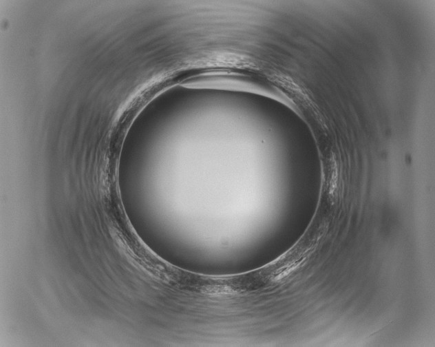 X0000054370392200507291052