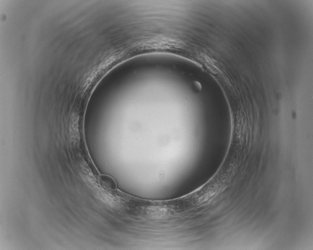 X0000054370394200507291052