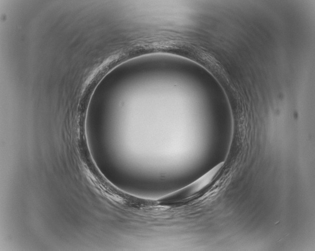 X0000054370395200507291052