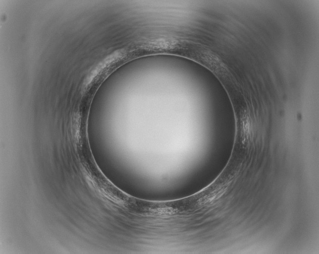 X0000054370396200507291052