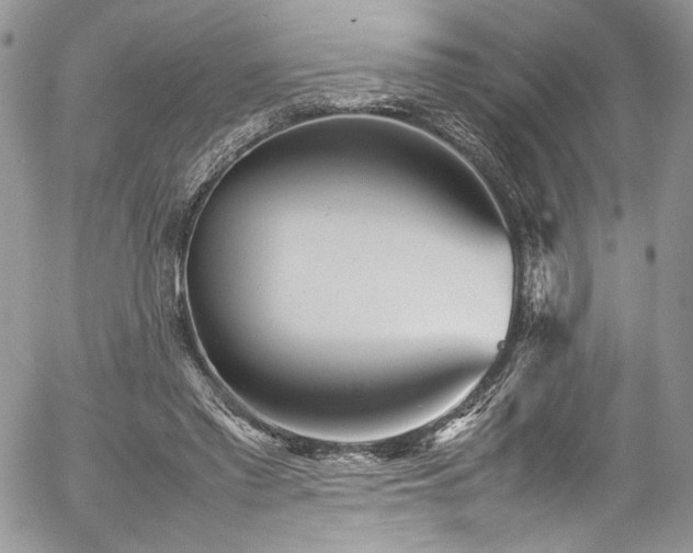 X0000054370397200507291052