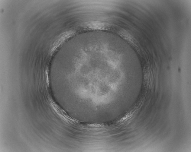 X0000054370398200507291052