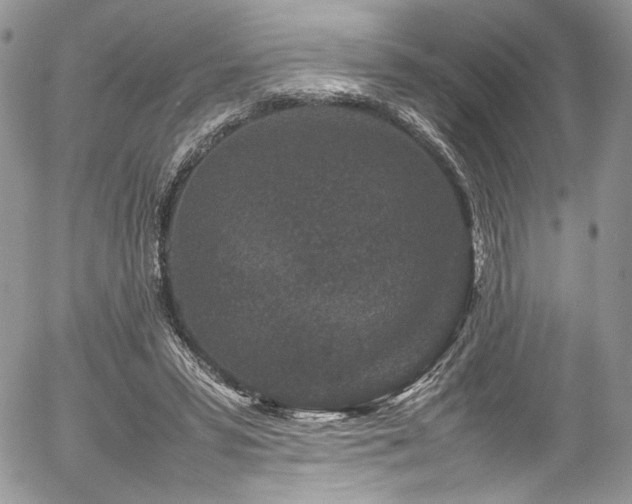 X0000054370399200507291052