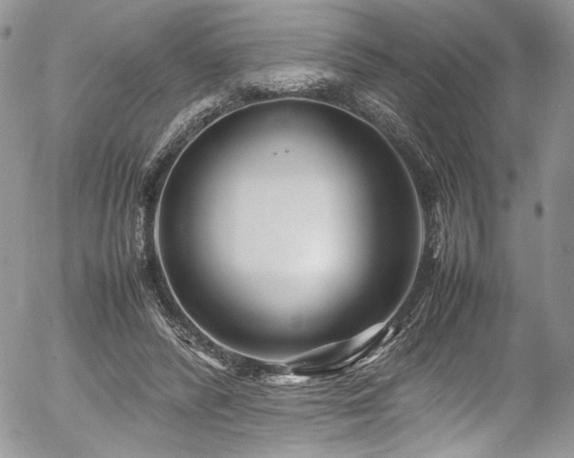 X0000054370400200507291052