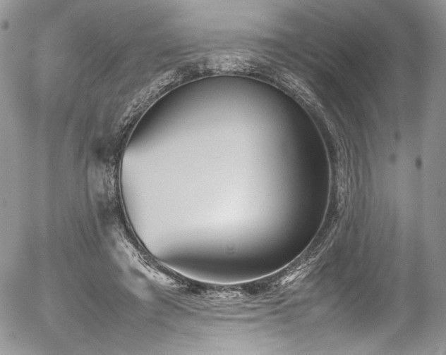 X0000054370401200507291052