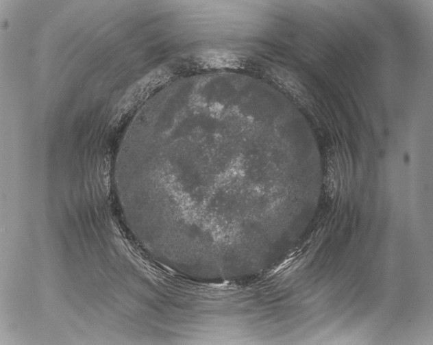 X0000054370402200507291052