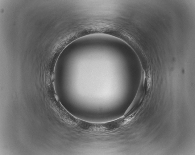 X0000054370403200507291052