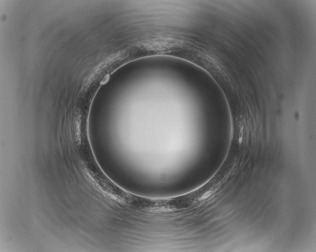 X0000054370404200507291052