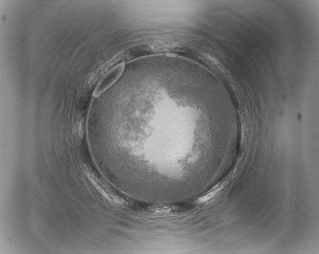 X0000054370405200507291052