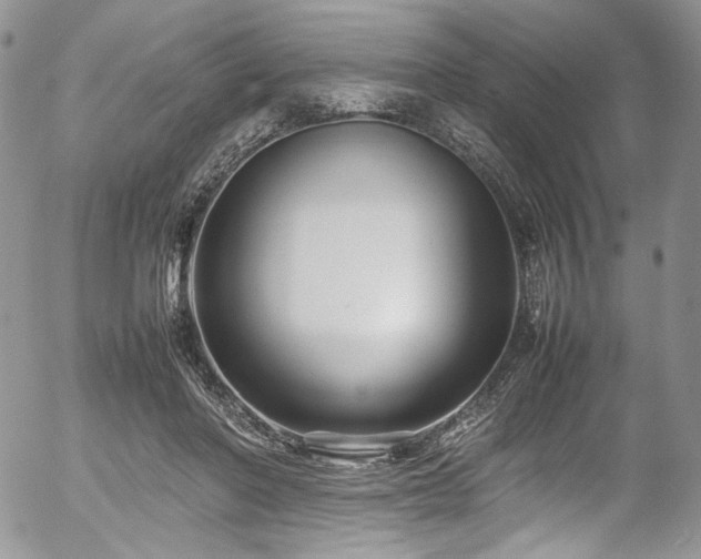 X0000054370406200507291052