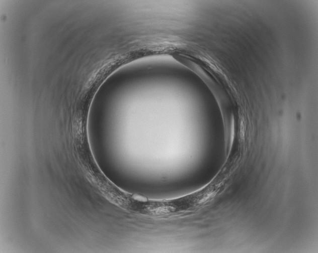 X0000054370407200507291052