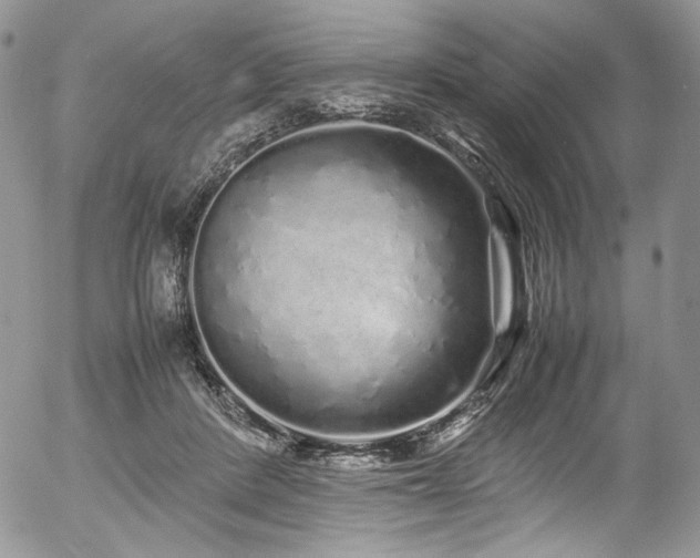 X0000054370408200507291052