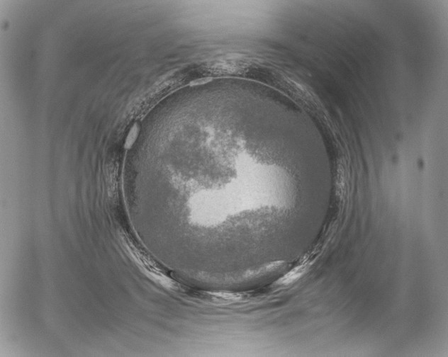 X0000054370409200507291052