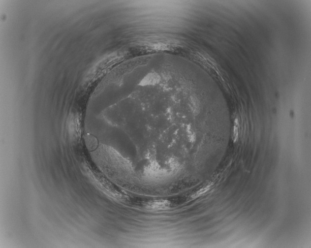 X0000054370410200507291052