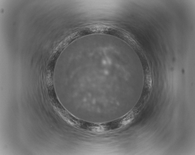 X0000054370411200507291052