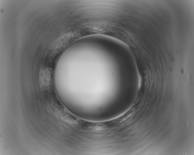 X0000054370412200507291052