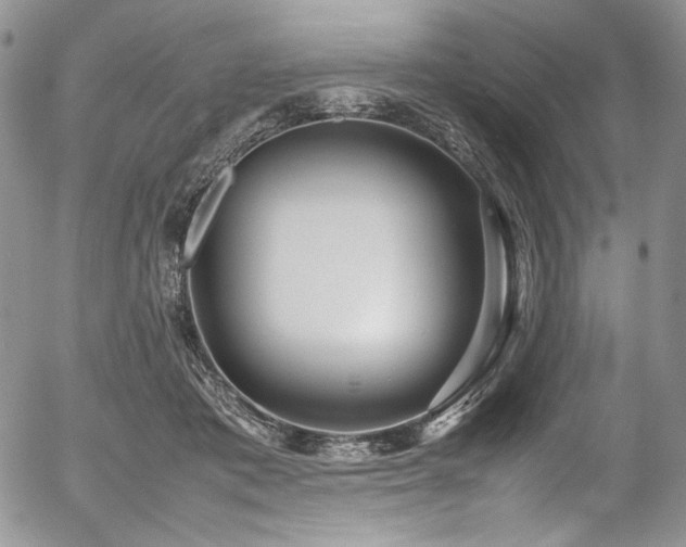 X0000054370413200507291052