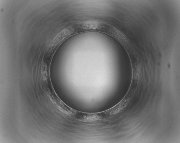 X0000054370414200507291052