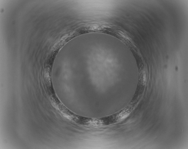 X0000054370415200507291052