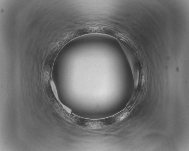 X0000054370417200507291052