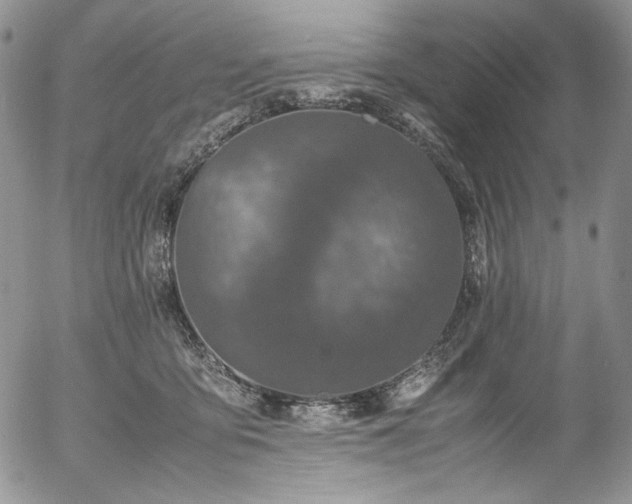 X0000054370419200507291052