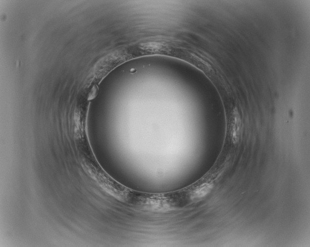 X0000054370420200507291052