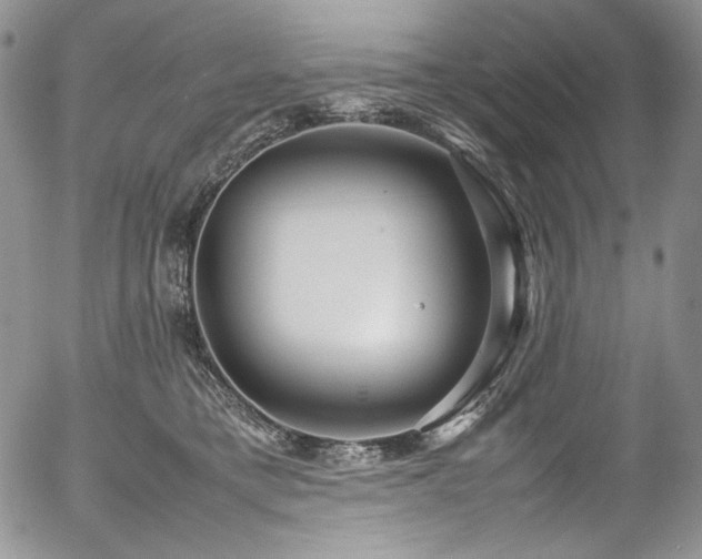 X0000054370421200507291052