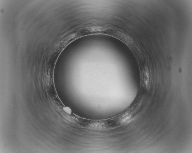 X0000054370422200507291051