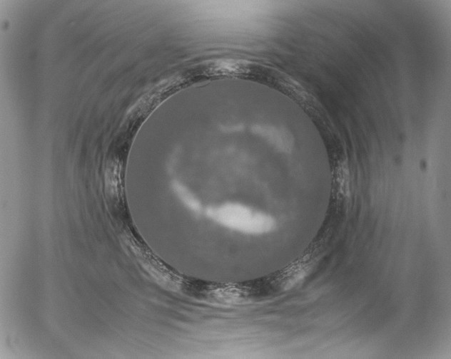 X0000054370423200507291051