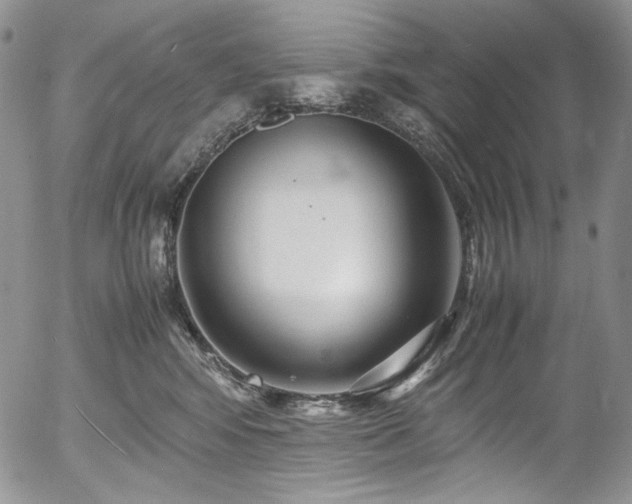 X0000054370424200507291051