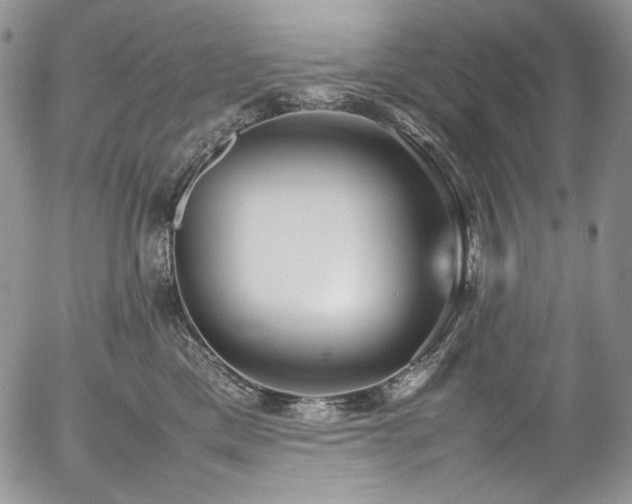 X0000054370425200507291051