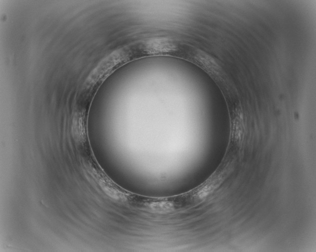 X0000054370426200507291051