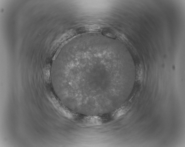 X0000054370427200507291051