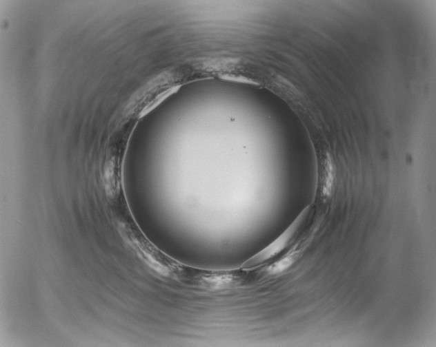 X0000054370428200507291051