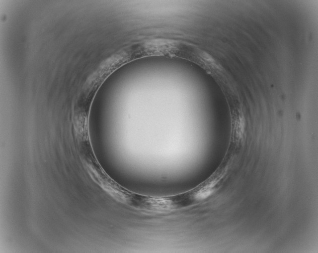 X0000054370429200507291051